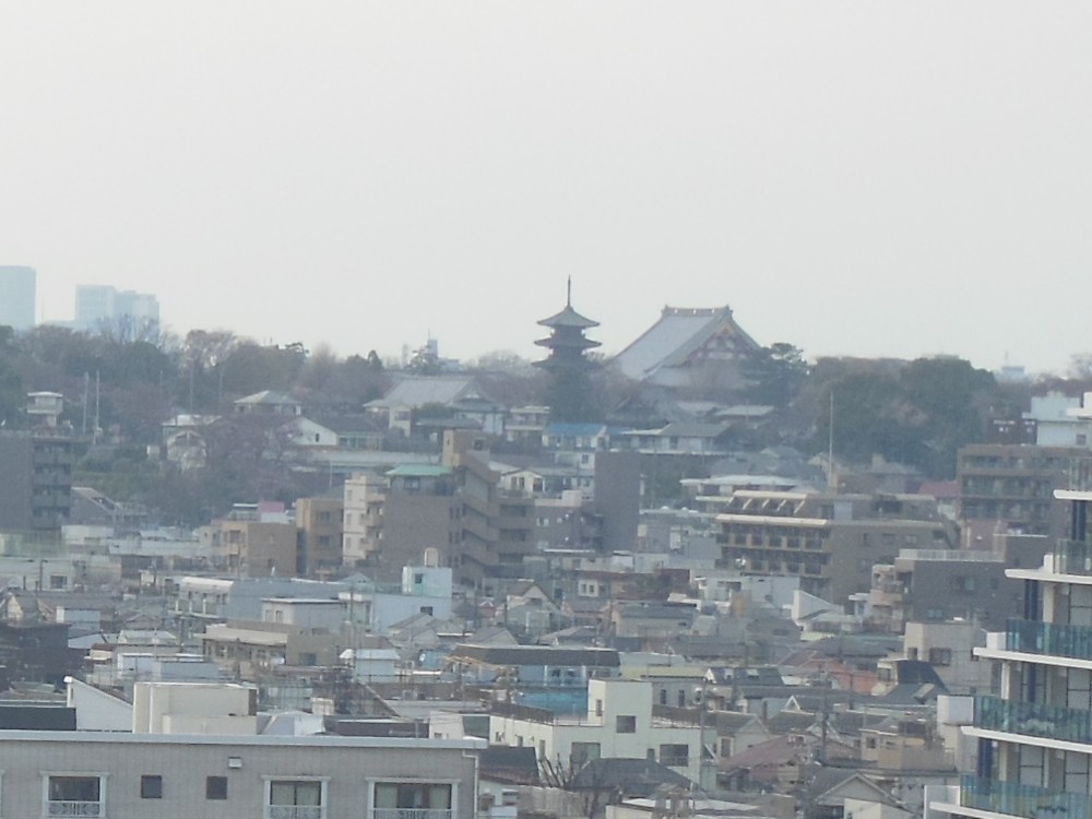 東邦医大から本門寺の写真